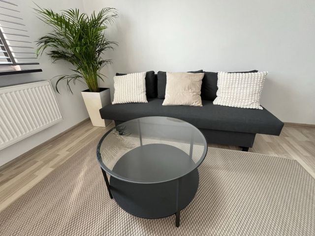 Mieszkanie 1-pokojowe Mysłowice Centrum, ul. Fryderyka Szopena. Zdjęcie 1