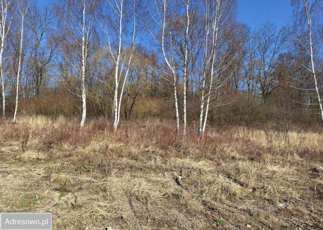 Działka budowlana Żłobizna. Zdjęcie 1