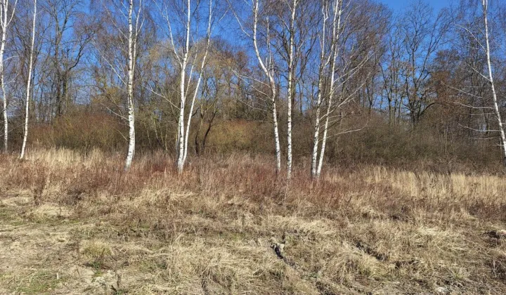 Działka budowlana Żłobizna