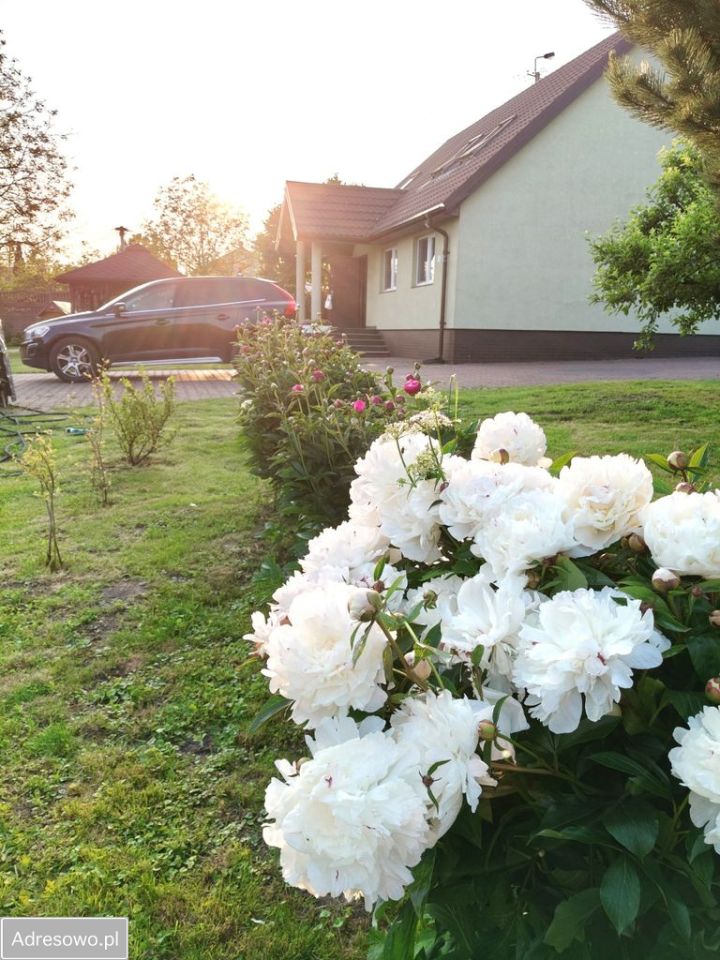 siedlisko, 3 pokoje Cicibór Mały. Zdjęcie 6