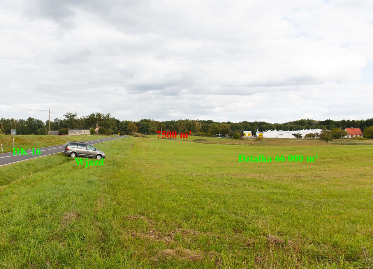 Działka inwestycyjna Laseczno. Zdjęcie 9