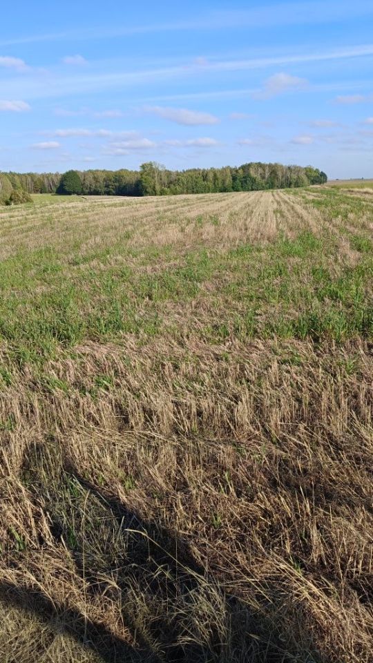 Działka budowlana Pruszków. Zdjęcie 5