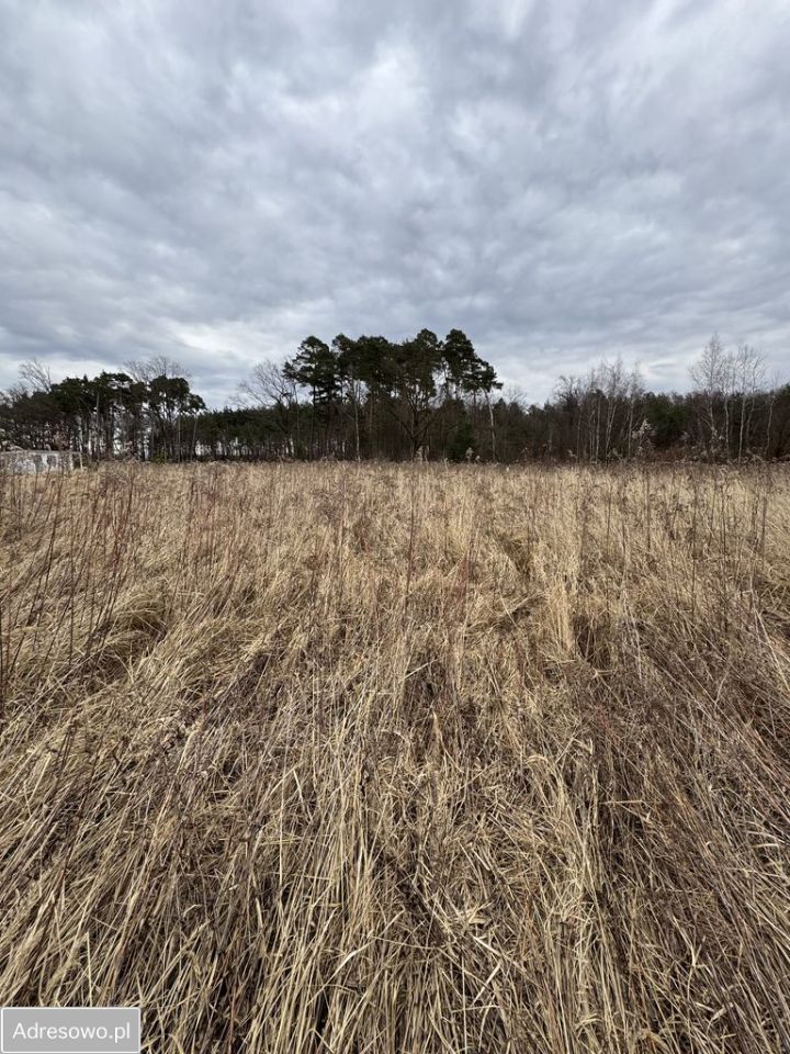 Działka budowlana Dębnik. Zdjęcie 10