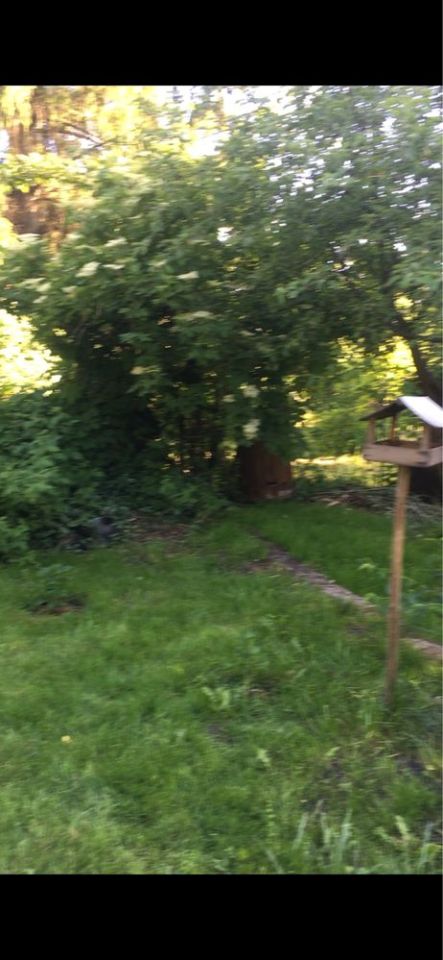 Działka rod Ząbki. Zdjęcie 2