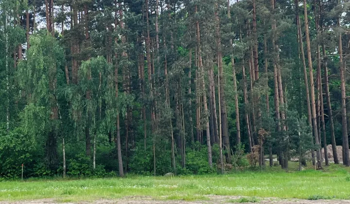 Działka budowlana Mikorzyce