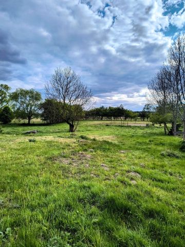 Działka budowlana Zabielne. Zdjęcie 1