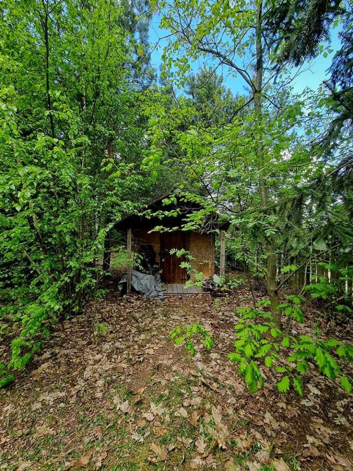 Działka Rogożek. Zdjęcie 6