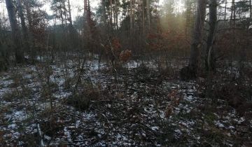 Działka rekreacyjna Huta Szklana