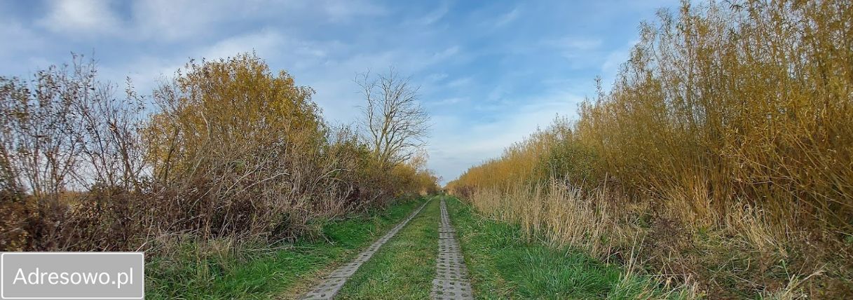 Działka rolna Objazda. Zdjęcie 6