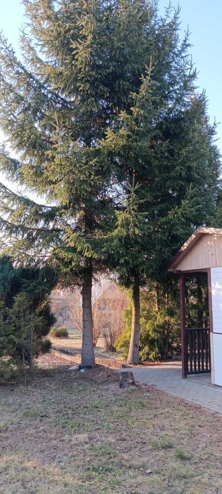 Działka rod Świdnik. Zdjęcie 7