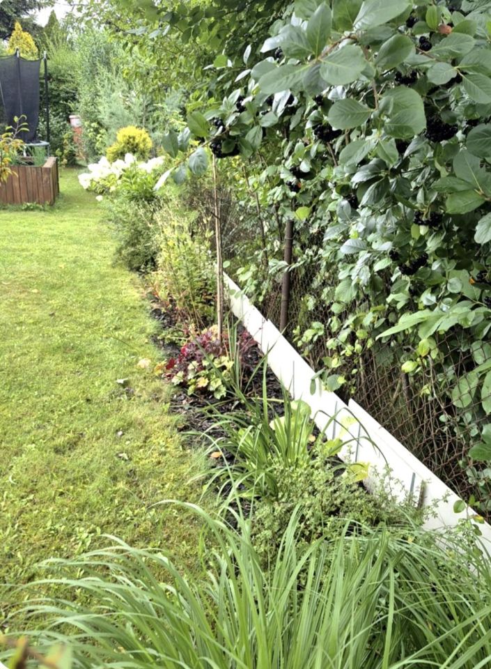 Działka rekreacyjna Zabrze, ul. Opawska. Zdjęcie 9