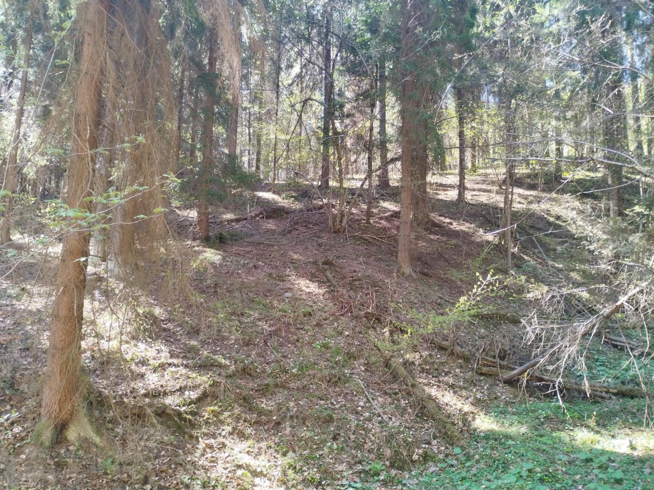 Działka leśna Sucha Beskidzka Błądzonka, ul. Błądzonka. Zdjęcie 7