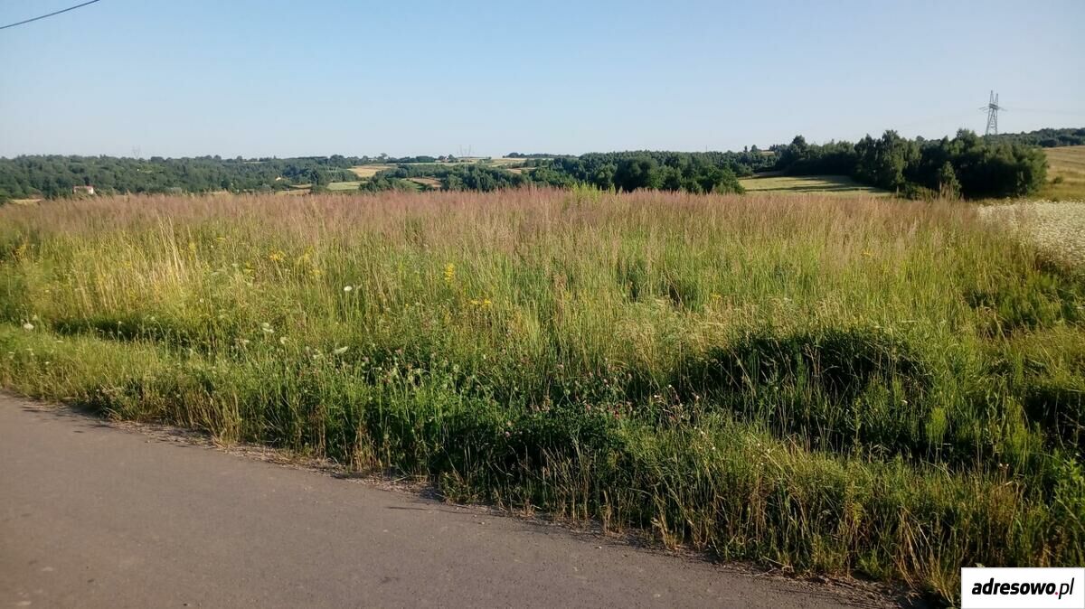 Działka rolna Jędrzejowice. Zdjęcie 2