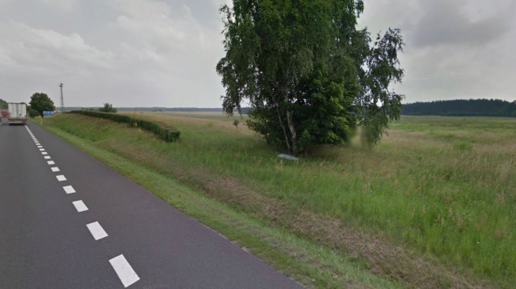 Działka budowlana Torzym. Zdjęcie 4