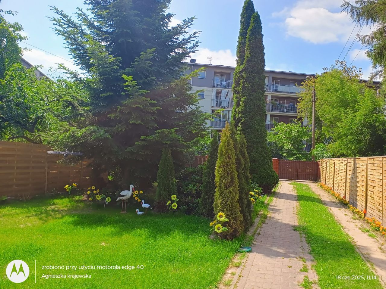 dom wolnostojący, 3 pokoje Brwinów Pszczelin. Zdjęcie 3