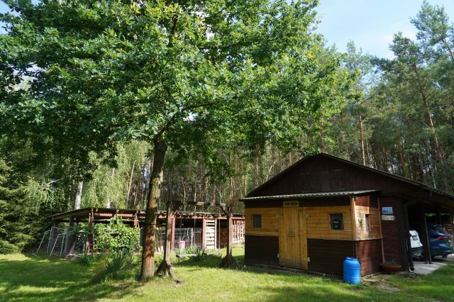 dom wolnostojący, 8 pokoi Siekierka Stara, Siekierka Stara. Zdjęcie 39