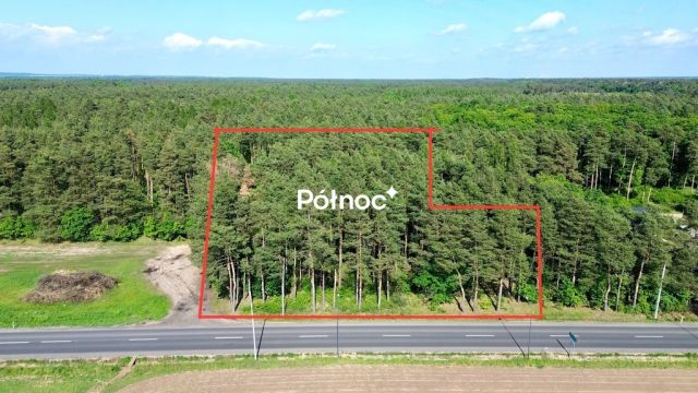 Działka budowlana Kędzierzyn-Koźle Kłodnica. Zdjęcie 9