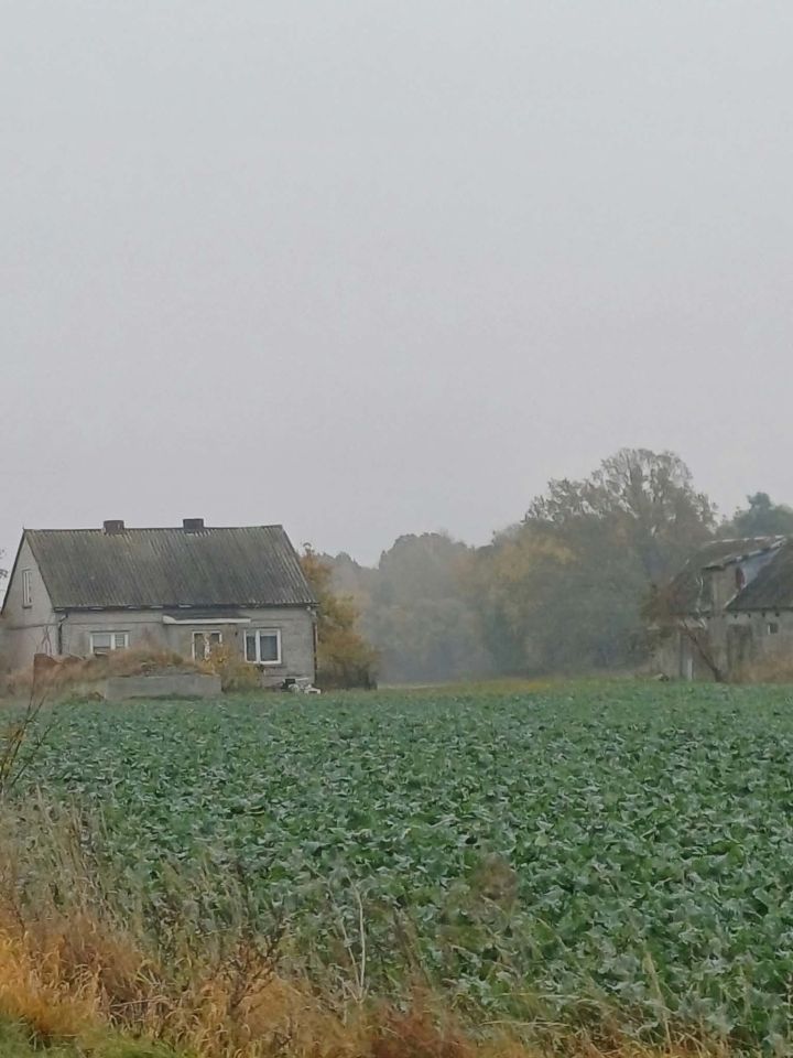 siedlisko, 3 pokoje Białuty, Białuty. Zdjęcie 7