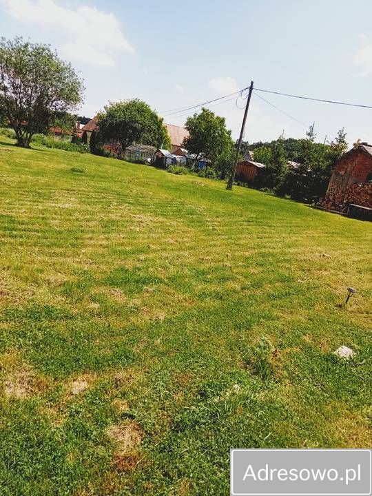 dom szeregowy, 3 pokoje Niemodlin. Zdjęcie 9