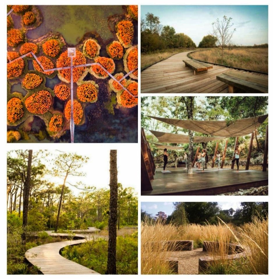 Działka budowlana Skolity. Zdjęcie 4