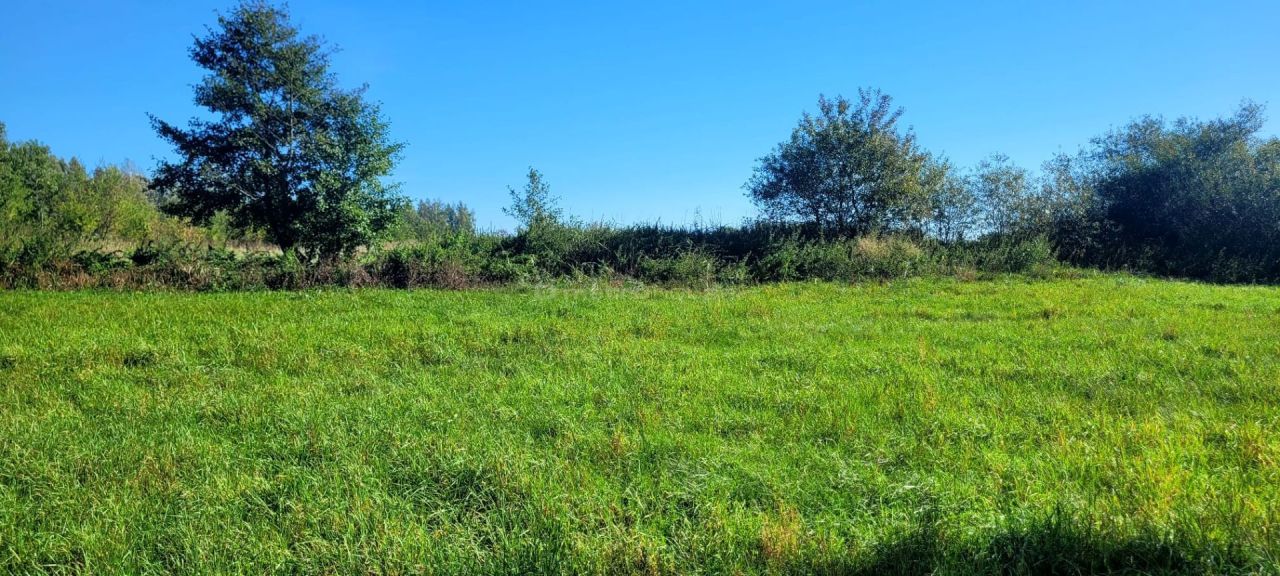 gospodarstwo Głowaczów, ul. Stromiecka. Zdjęcie 15