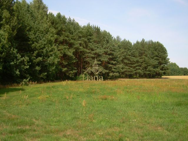 Działka budowlana Kobyla. Zdjęcie 7