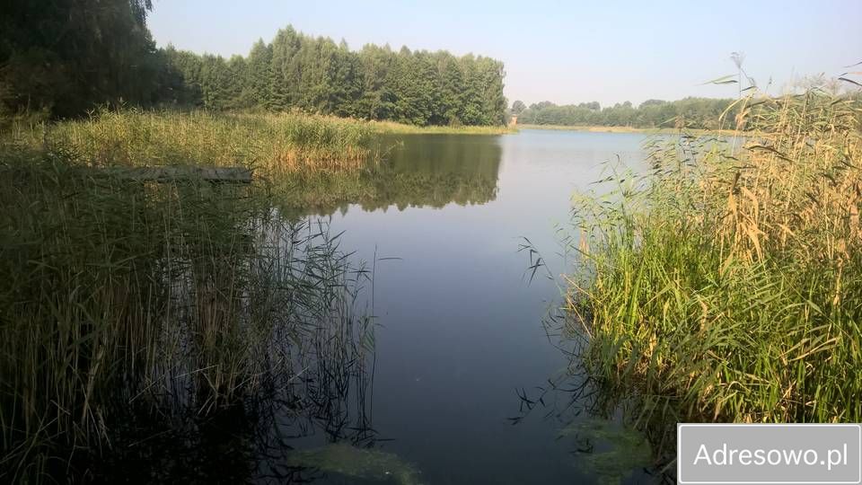 Działka rekreacyjna Zalesie. Zdjęcie 3