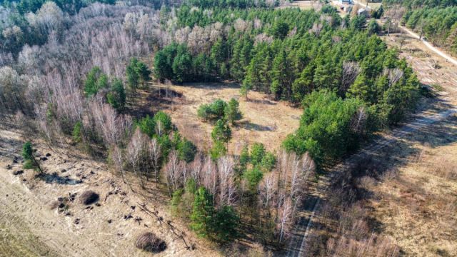 Działka budowlana Piotrkowice. Zdjęcie 7