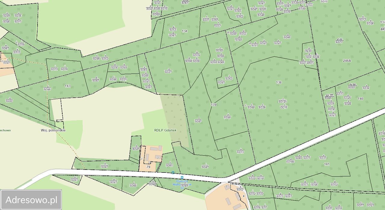 Działka leśna Osieczna. Zdjęcie 3