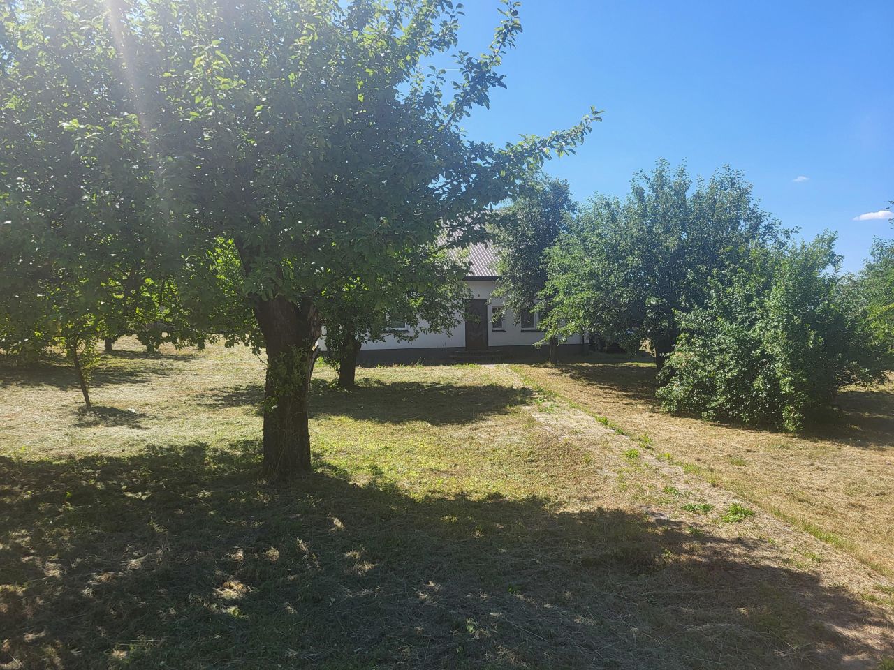 gospodarstwo Babsk. Zdjęcie 9