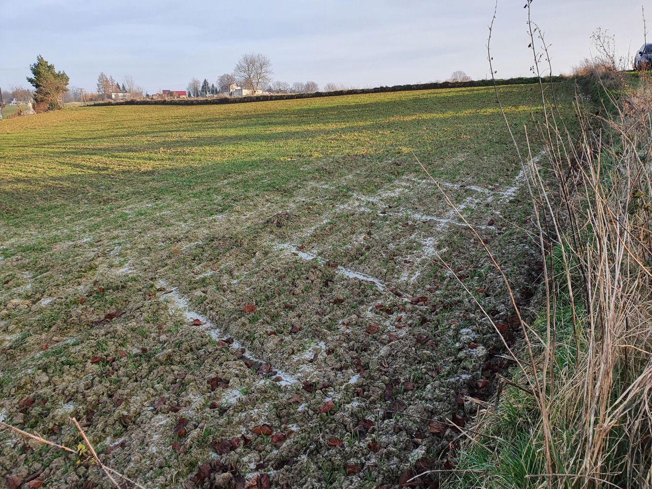 Działka budowlana Józefów-Pociecha, Pociecha. Zdjęcie 2