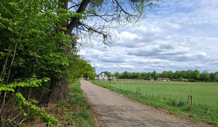 Działka rolna Łukta