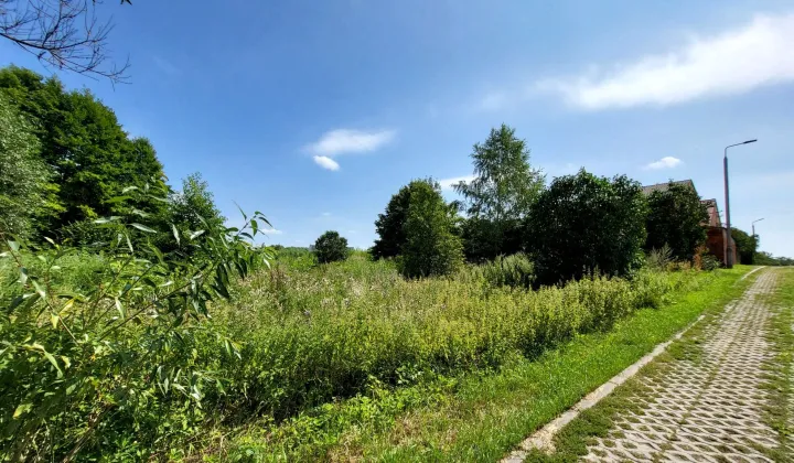 Działka budowlana Łochowice, ul. Kanałowa