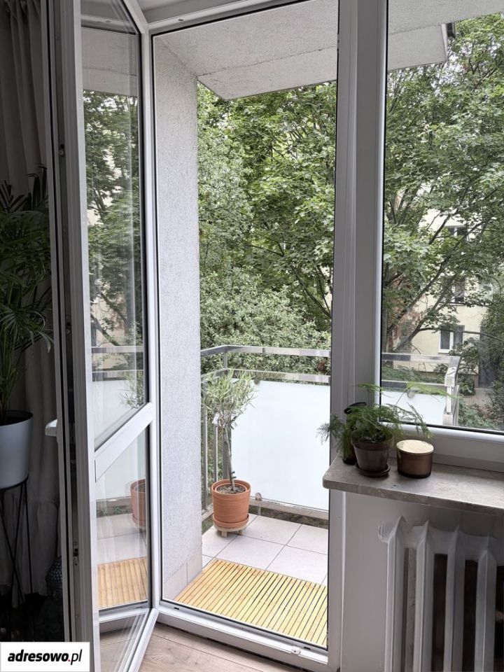 Zdjęcie 6