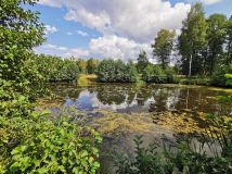 Działka budowlana Strękowizna. Zdjęcie 1