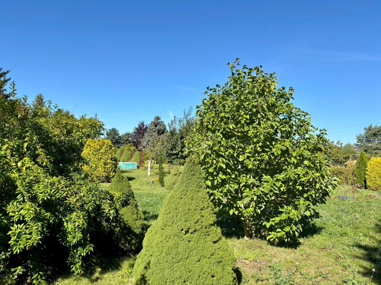 Działka rod Ostrów Wielkopolski. Zdjęcie 3