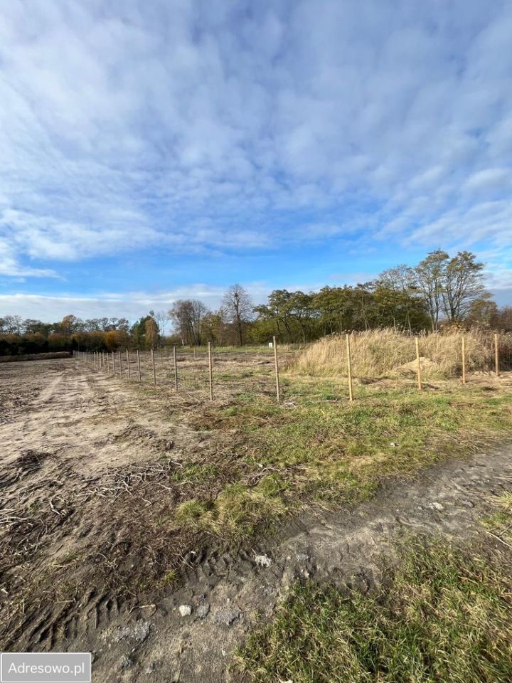 Działka rolno-budowlana Podkampinos. Zdjęcie 17