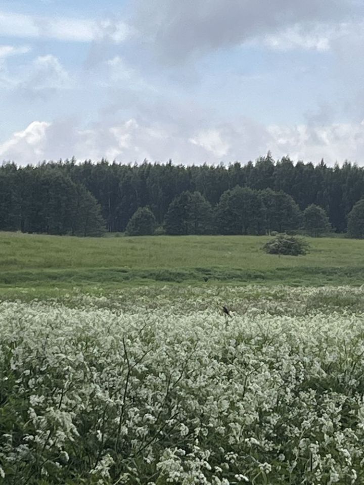 dom wolnostojący Kaborno. Zdjęcie 5