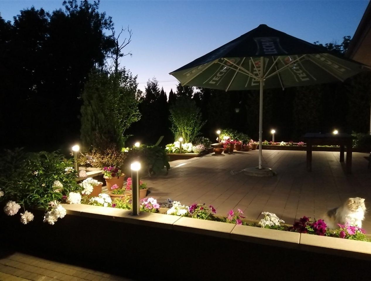 dom wolnostojący, 7 pokoi Paprotnia, ul. Koralowa. Zdjęcie 28