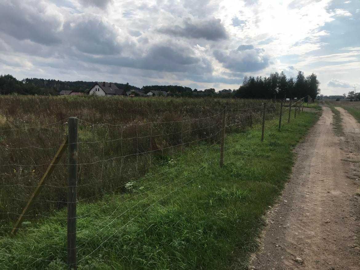 Działka budowlana Dobino. Zdjęcie 6