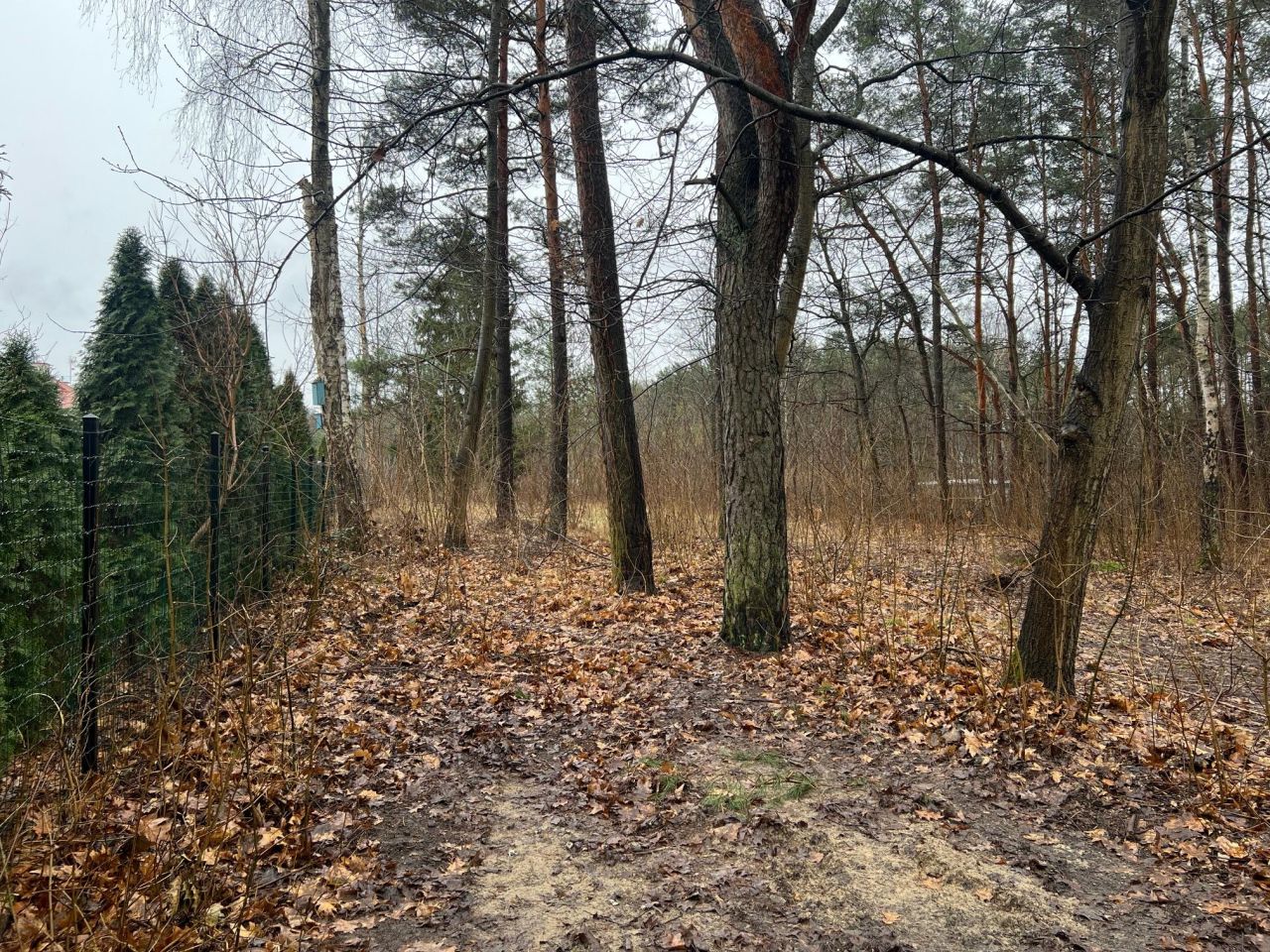 Działka budowlana Józefów, ul. Rolnicza. Zdjęcie 3