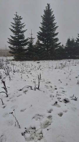 Działka rolna Edwardowo. Zdjęcie 1