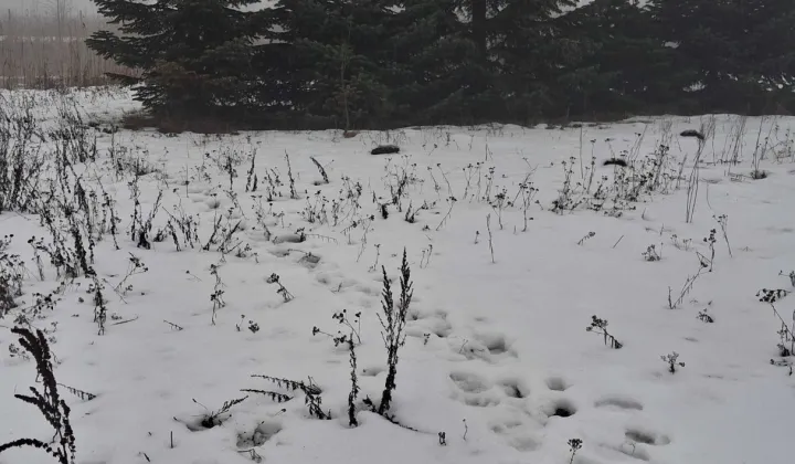 Działka rolna Edwardowo