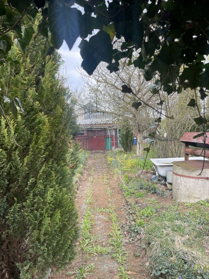 Działka rod Kędzierzyn-Koźle. Zdjęcie 6