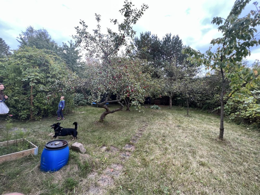 Działka rod Warszawa Wilanów, ul. Augustówka. Zdjęcie 2