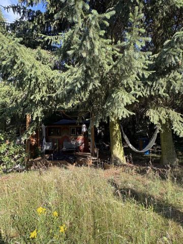 Działka rod Łódź Widzew, ul. Pomorska. Zdjęcie 1