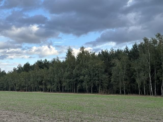 Działka leśna Przykona, ul. Słoneczna. Zdjęcie 1