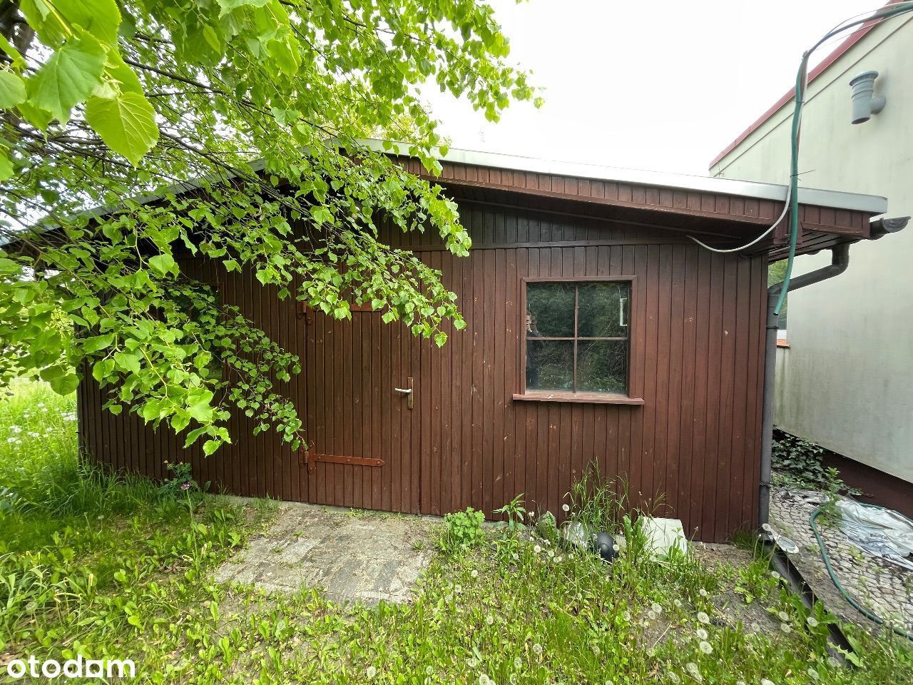 Lokal Jarocin. Zdjęcie 13