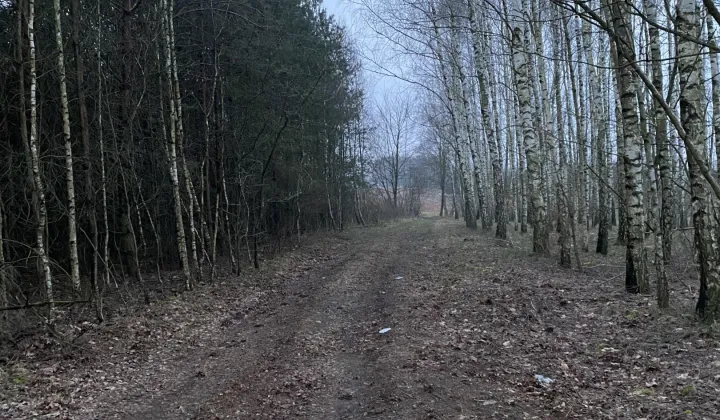 Działka budowlana Skórzec, ul. Cmentarna