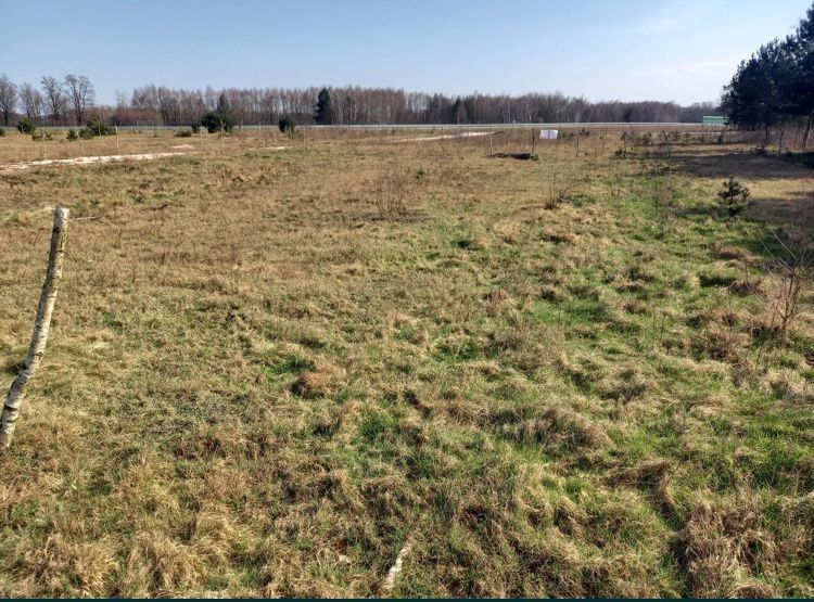 Działka budowlana Wymysłów Francuski. Zdjęcie 2